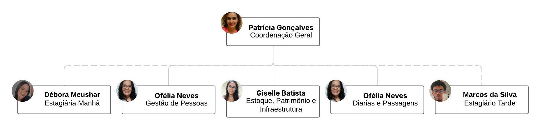 Grfico organizacional2